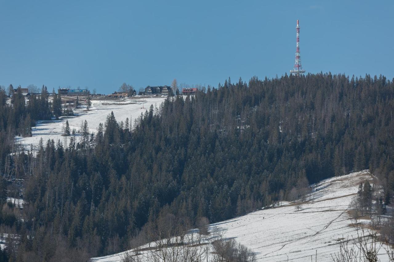 Rent Like Home - Orkana IX Zakopane Bagian luar foto